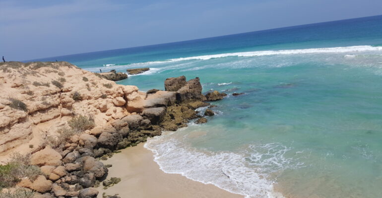 20160224_002128_0041