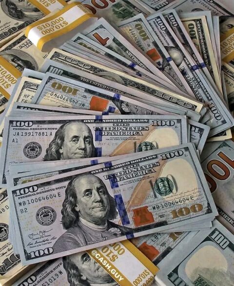 296204675_1839292813129016_3511921090175262122_n